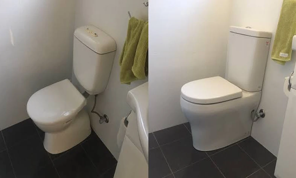 Old Toilet Versus the New One in a Tampa Bay Bathroom